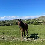 Rolling Hills